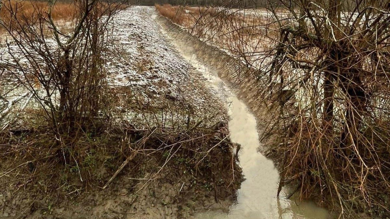 ლანჩხუთის მუნიციპალიტეტში დამშრობ მასივზე გაწმენდითი სამუშაოები მიმდინარეობს