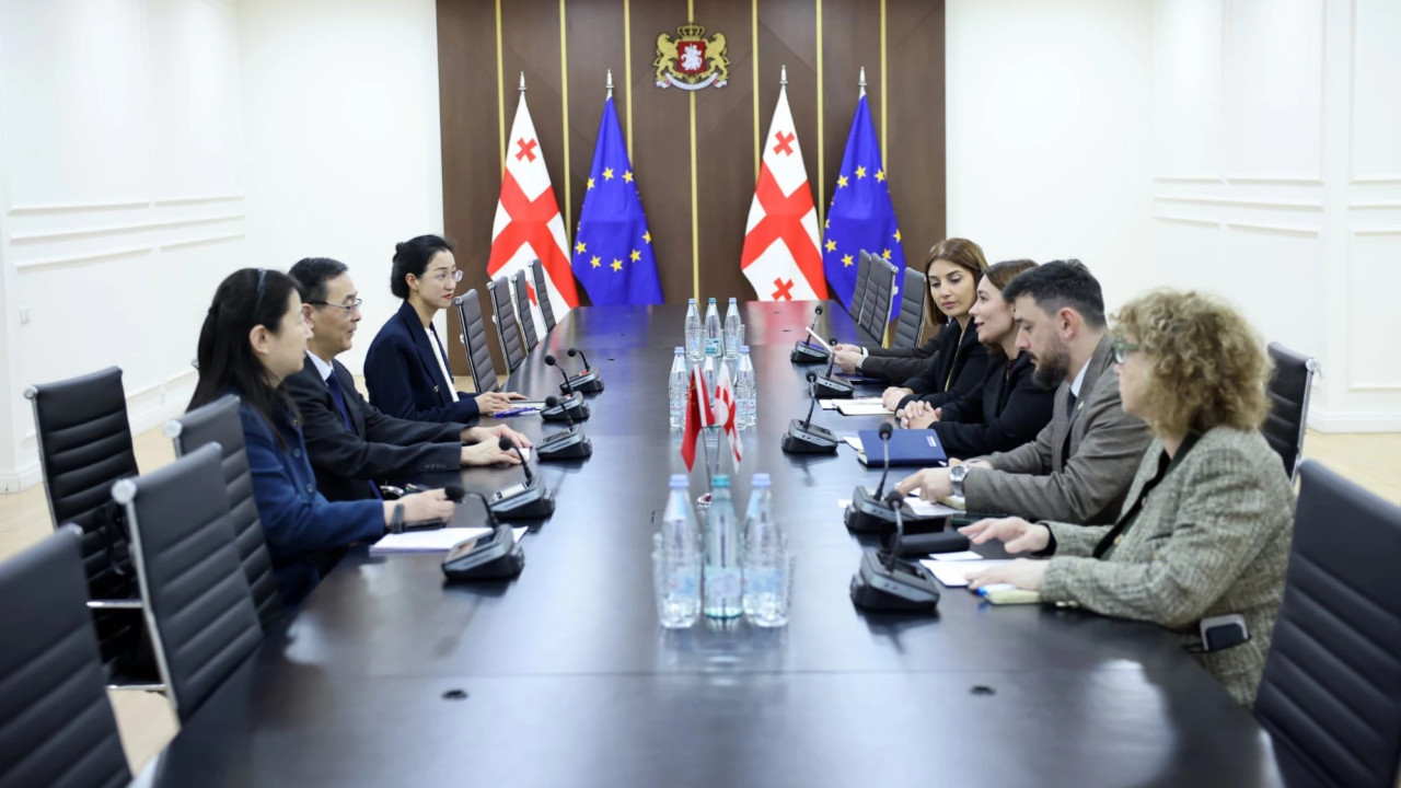 ნინო თანდილაშვილი ჩინეთის ელჩს შეხვდა