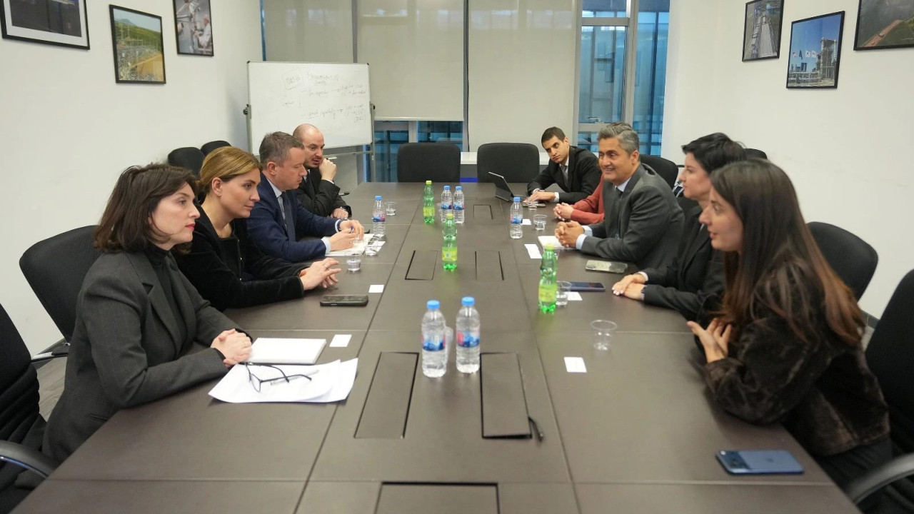 ეკონომიკის სამინისტროში Visa-ს რეგიონულ პრეზიდენტთან შეხვედრა გაიმართა