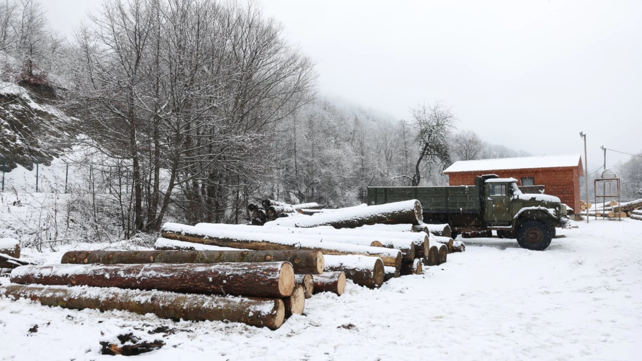 ბაკურიანი-წაღვერის სატყეო უბანზე დიდი ოდენობით ხე-ტყის უკანონო მოპოვებისა და ტრანსპორტირების ფაქტი გამოვლინდა