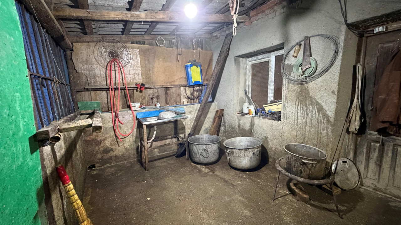 იმერეთში ფრინველთა არალეგალური სასაკლაოები გამოვლინდა