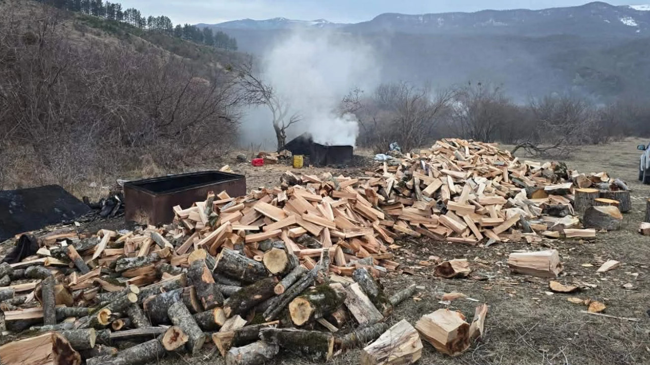 გარემოსდაცვითი ზედამხედველობის დეპარტამენტმა მცხეთა-მთიანეთში უნებართვო სანახშირეები გამოავლინა