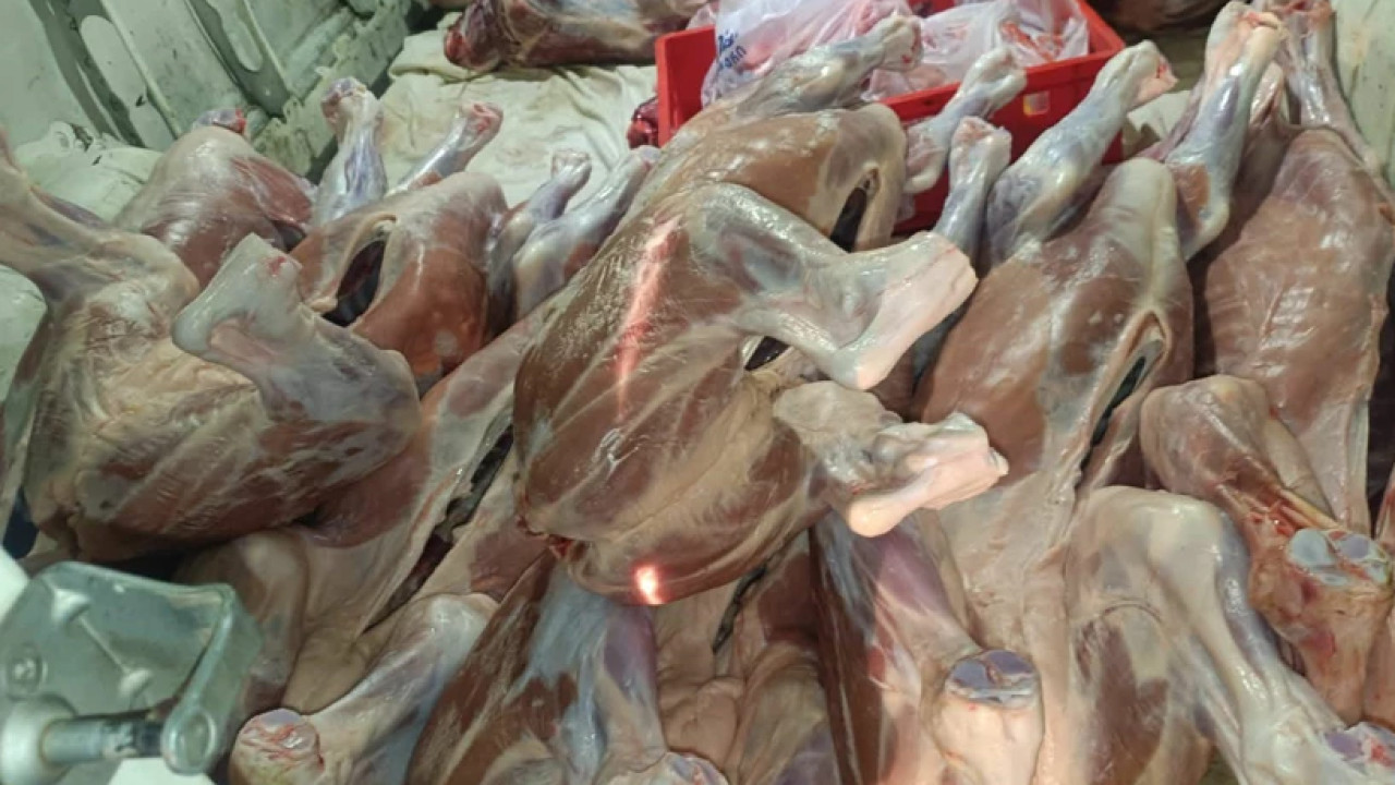 სურსათის ეროვნულმა სააგენტომ მცხეთა-მთიანეთში კუსტარულად მოწყობილი ცხოველთა სასაკლაო გამოავლინა