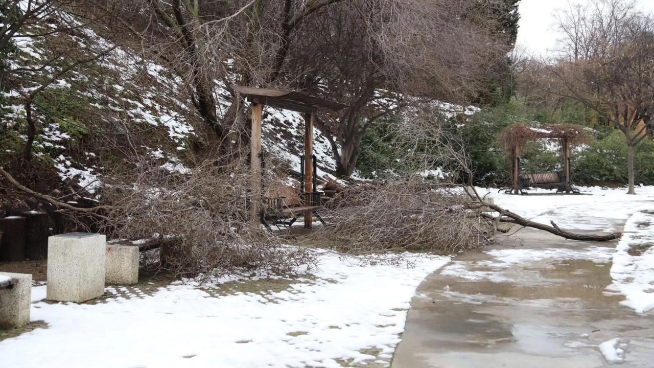 ეროვნული ბოტანიკური ბაღი ვიზიტორებისთვის დროებით დაიკეტა