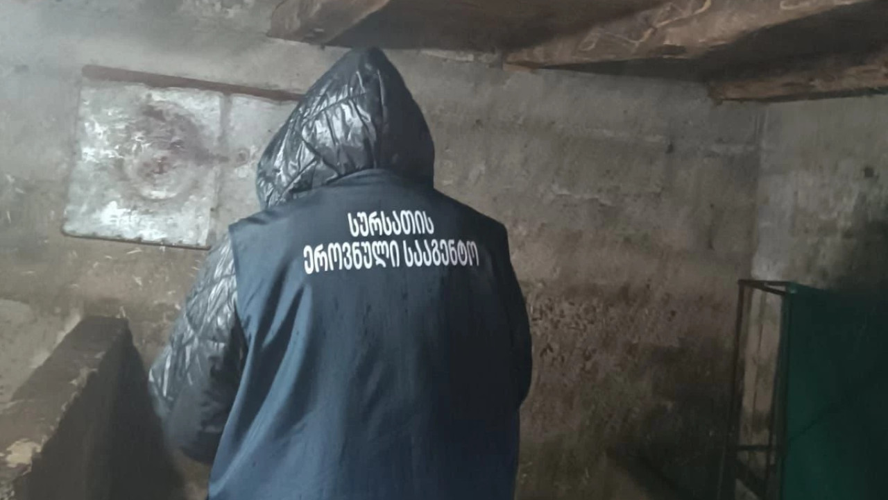 სურსათის ეროვნულმა სააგენტომ აჭარასა და გურიაში ფრინველთა არალეგალური სასაკლაოები გამოავლინა