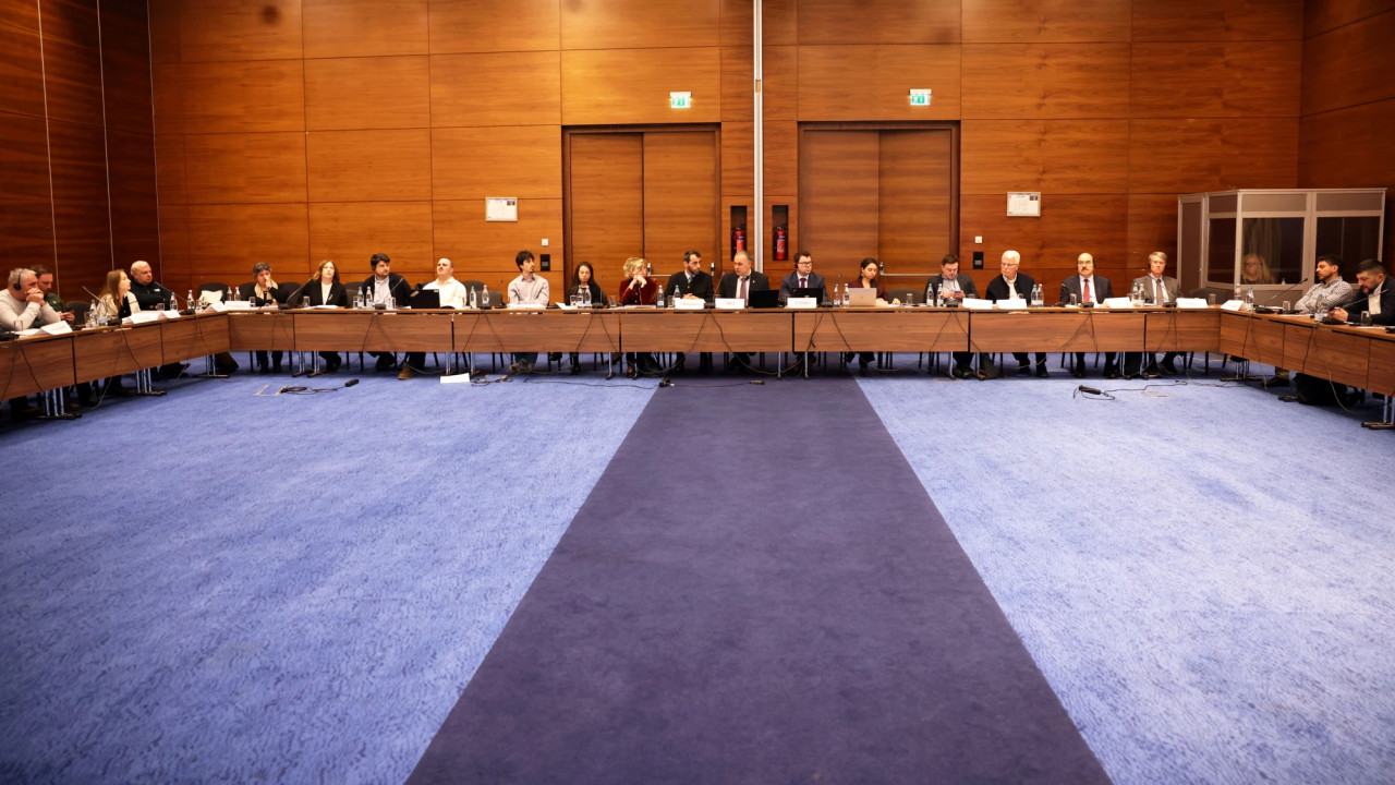 საქართველოში ინკლუზიური და ეკოლოგიურად მდგრადი ტყის არამერქნული პროდუქტების ღირებულებათა ჯაჭვების გაძლიერების საკითხზე სამუშაო შეხვედრა გაიმართა