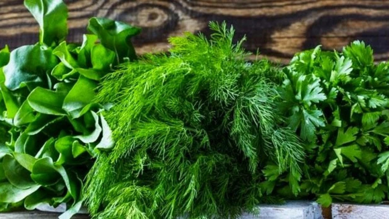 მწვანილის ექსპორტის ღირებულება 22%-ით გაიზარდა