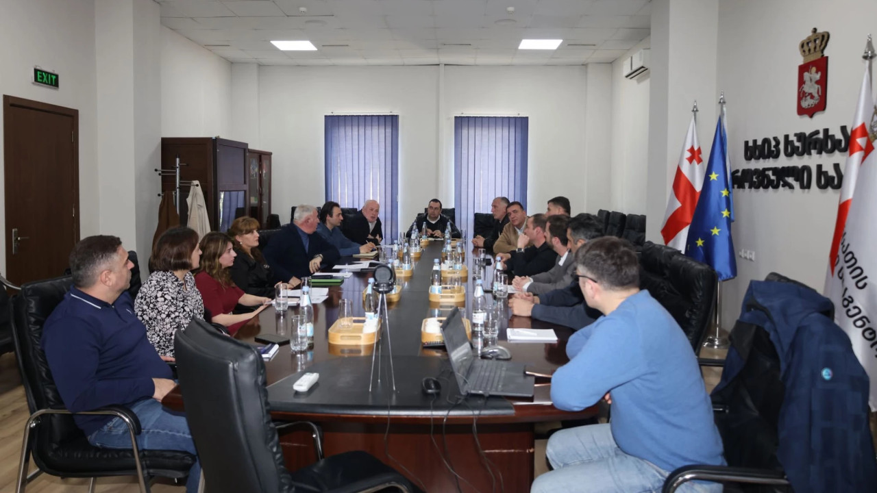 სურსათის ეროვნულმა სააგენტომ ძაღლების ჰიპერპოპულაციის მართვის პროგრამა თავშესაფრების წარმომადგენლებთან განიხილა