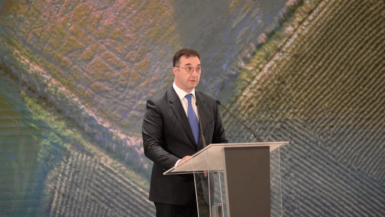 "აგროინდექსის დინამიკა გვიჩვენებს, რომ წლიდან წლამდე სოფლის მეურნეობის სექტორი სტაბილურად ვითარდება" - დავით სონღულაშვილი