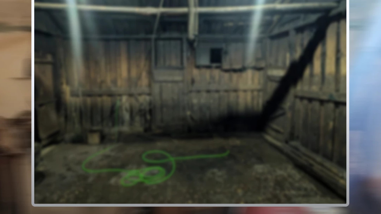 სურსათის ეროვნული სააგენტოს რეგიონულმა დეპარტამენტებმა სამეგრელოს და იმერეთში ცხოველთა არალეგალური სასაკლაოები გამოავლინეს