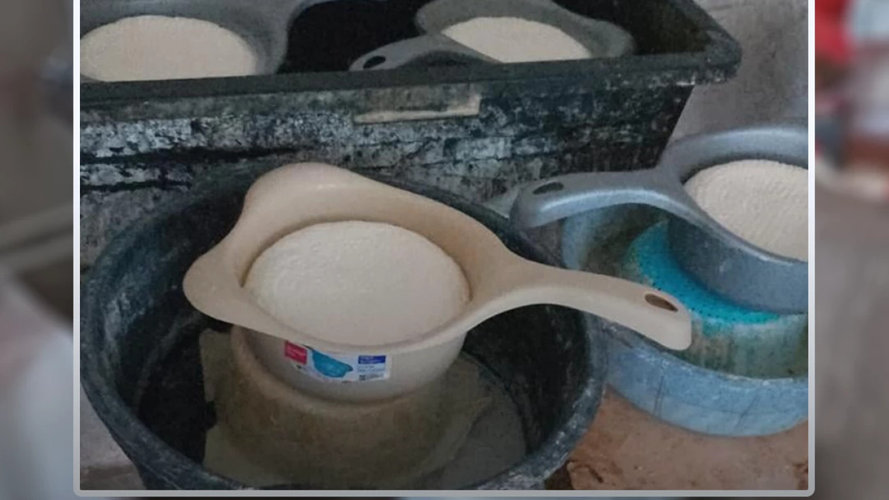 სეს-ი რძის გადამამუშავებელი არალეგალური საწარმოების გამოვლენას მთელი ქვეყნის მასშტაბით აქტიურად განაგრძობს