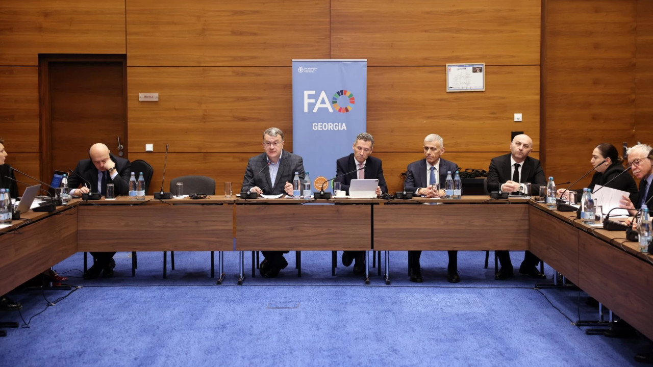 ლაშა დოლიძე: ქვეყნის პროგრამული ჩარჩო სრულ შესაბამისობაშია სამინისტროს პრიორიტეტებთან