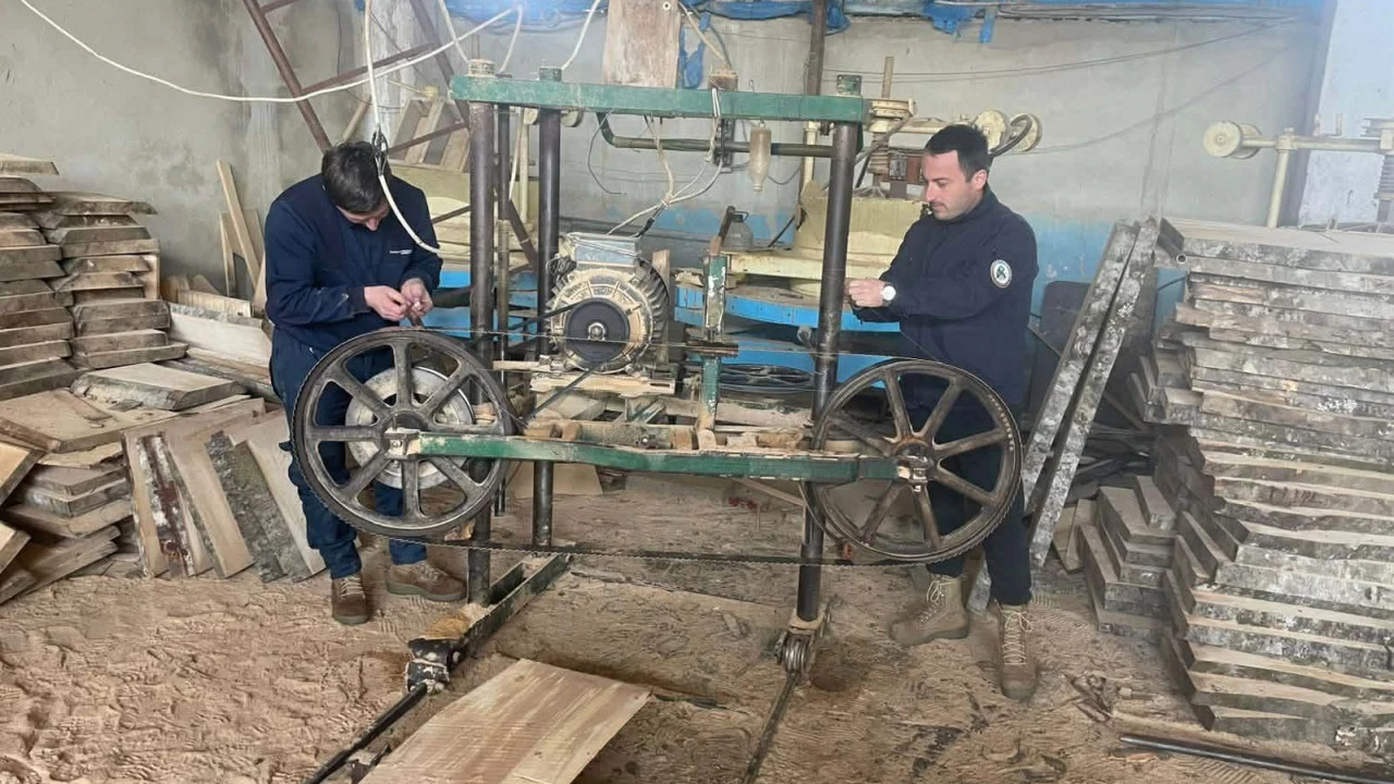 გარემოსდაცვითი ზედამხედველობის დეპარტამენტმა იმერეთში უკანონო სახერხი საამქროები გამოავლინა