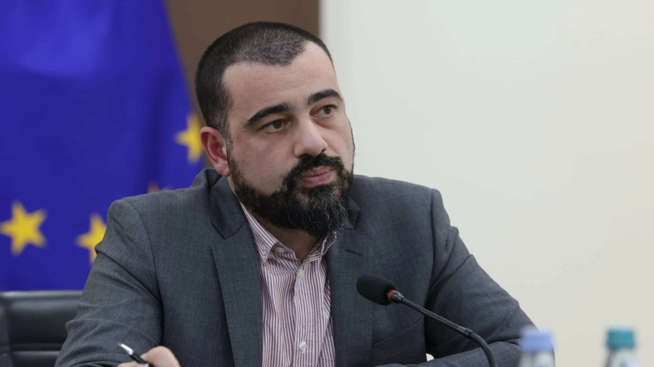 გარემოს დაცვისა და სოფლის მეურნეობის მინისტრის მოადგილემ ძაღლების მიკედლების პროცედურებზე გააკეთა განმარტება