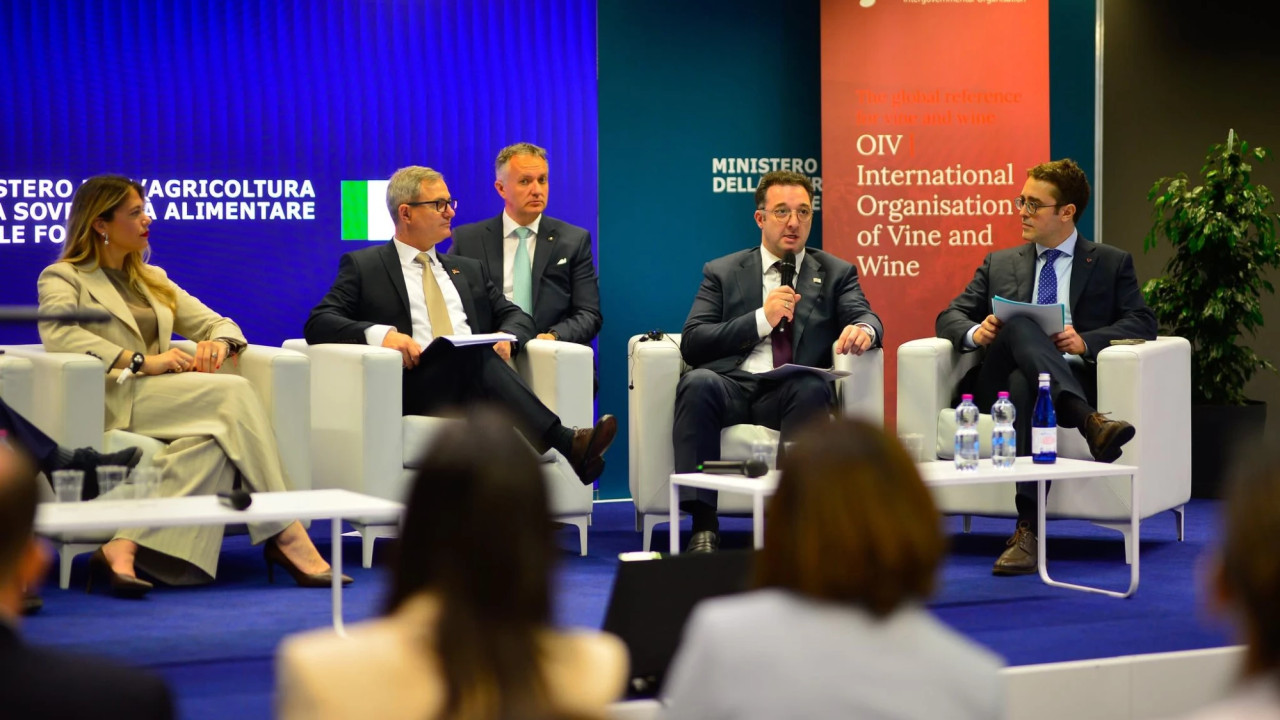 "8 მაისს საქართველოში ღვინის ეროვნულ დღეს აღვნიშნავთ" - დავით სონღულაშვილი