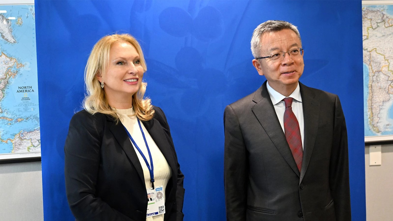 ნათია თურნავა IMF-ის მმართველი დირექტორის მოადგილეს, ბო ლის შეხვდა