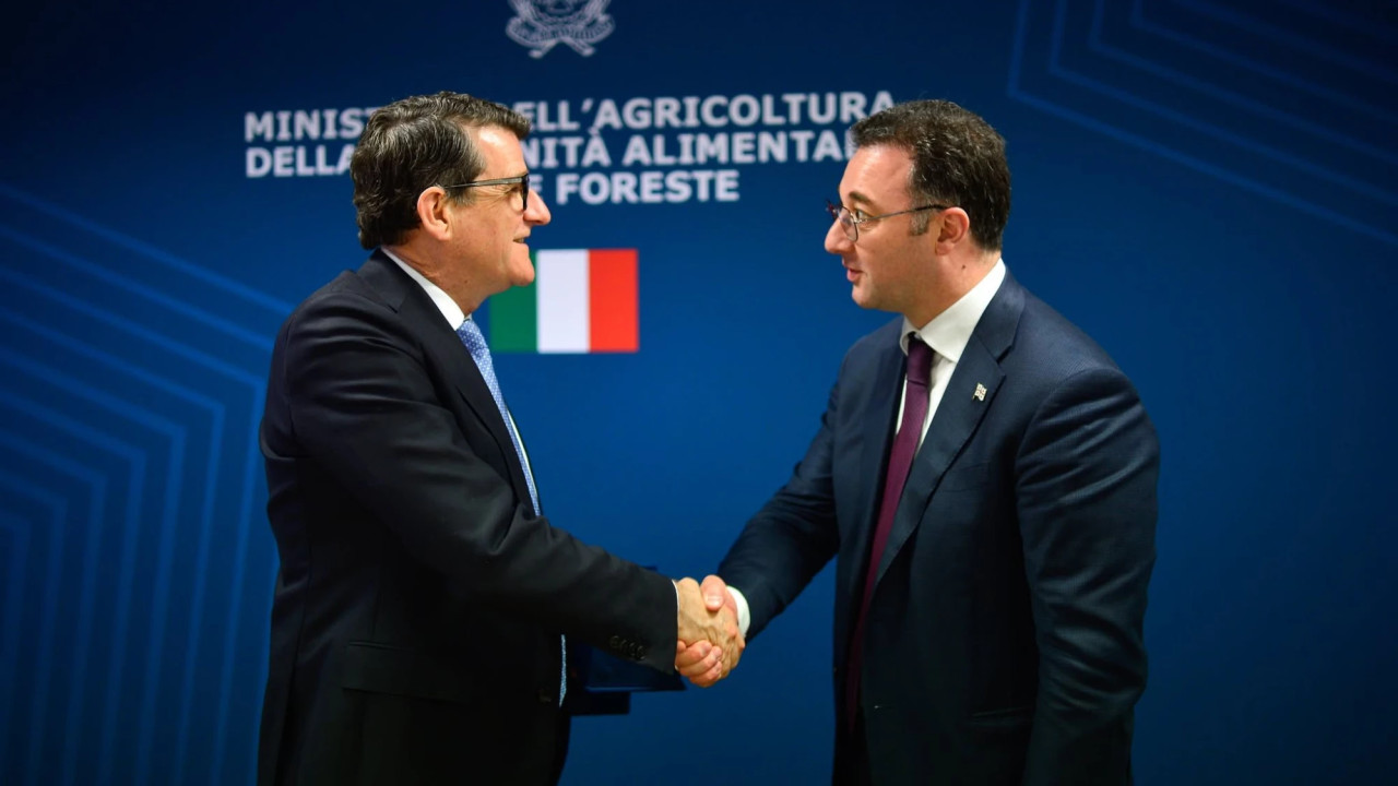 დავით სონღულაშვილი: საქართველო გამოხატავს მზადყოფნას, 2027 წელს OIV-ის კონგრესს უმასპინძლოს