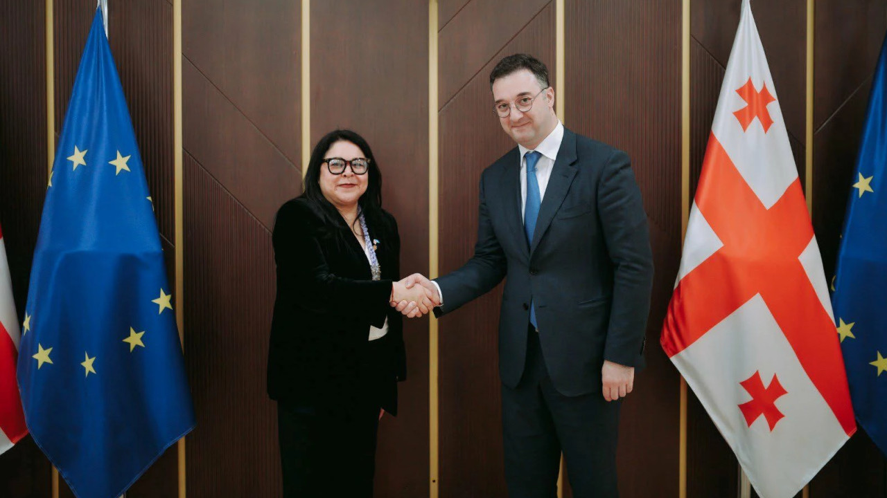 დავით სონღულაშვილი გვატემალის რესპუბლიკის დელეგაციის წევრებს შეხვდა