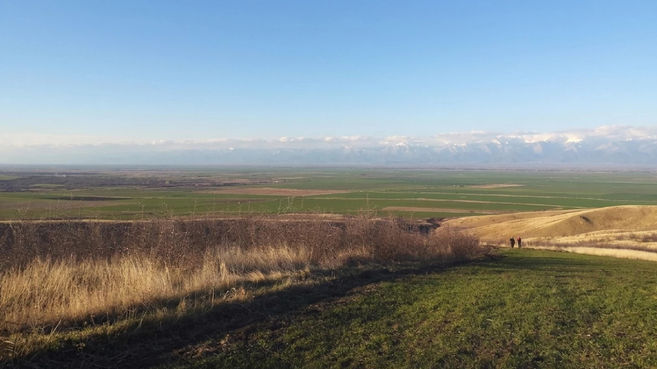 მიწათსარგებლობის მონიტორინგით 11 ჰექტარზე მეტი მოხნული საძოვარი გამოვლინდა