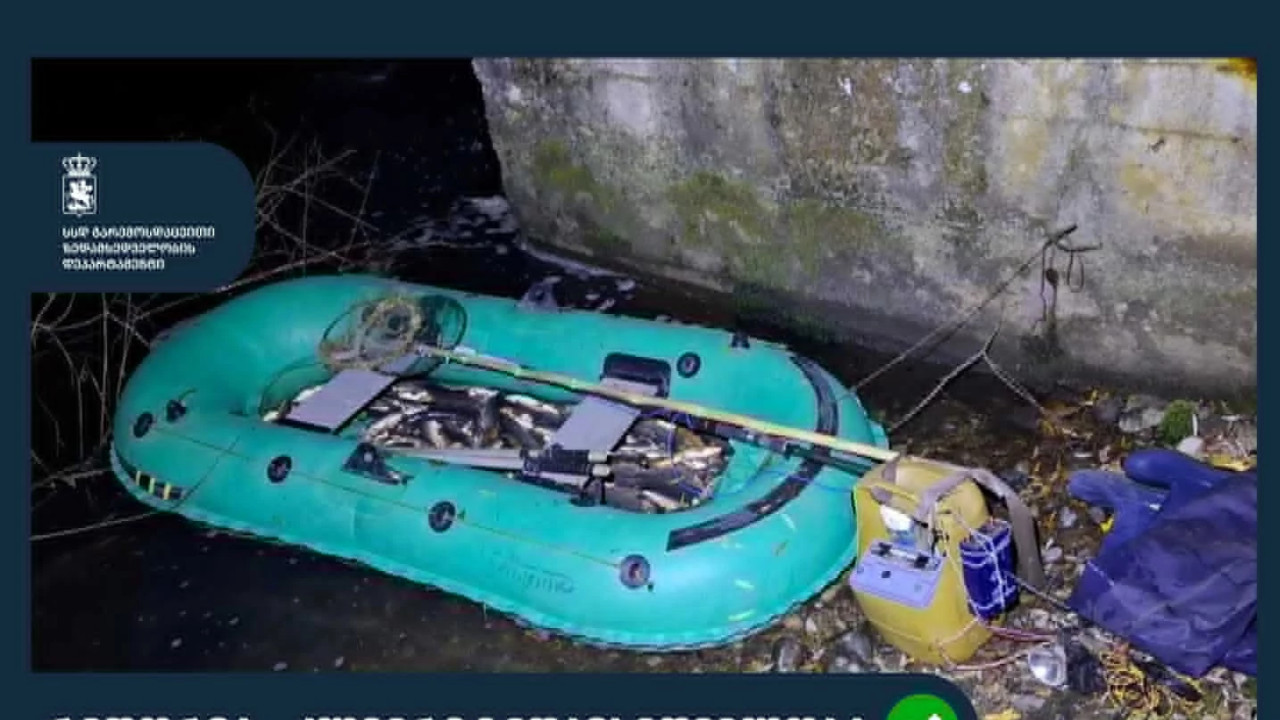 გარემოსდაცვითი ზედამხედველობის დეპარტამენტმა 2026 წლის 3 თვეში უკანონო თევზჭერის 85 ფაქტი გამოავლინა