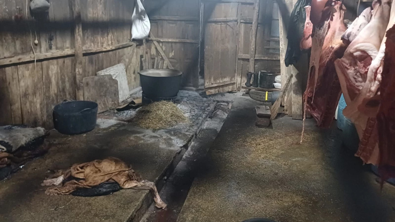 არალეგალური სასაკლაო მარტვილში სურსათის ეროვნულმა სააგენტომ ობიექტს საქმიანობა შეუჩერა