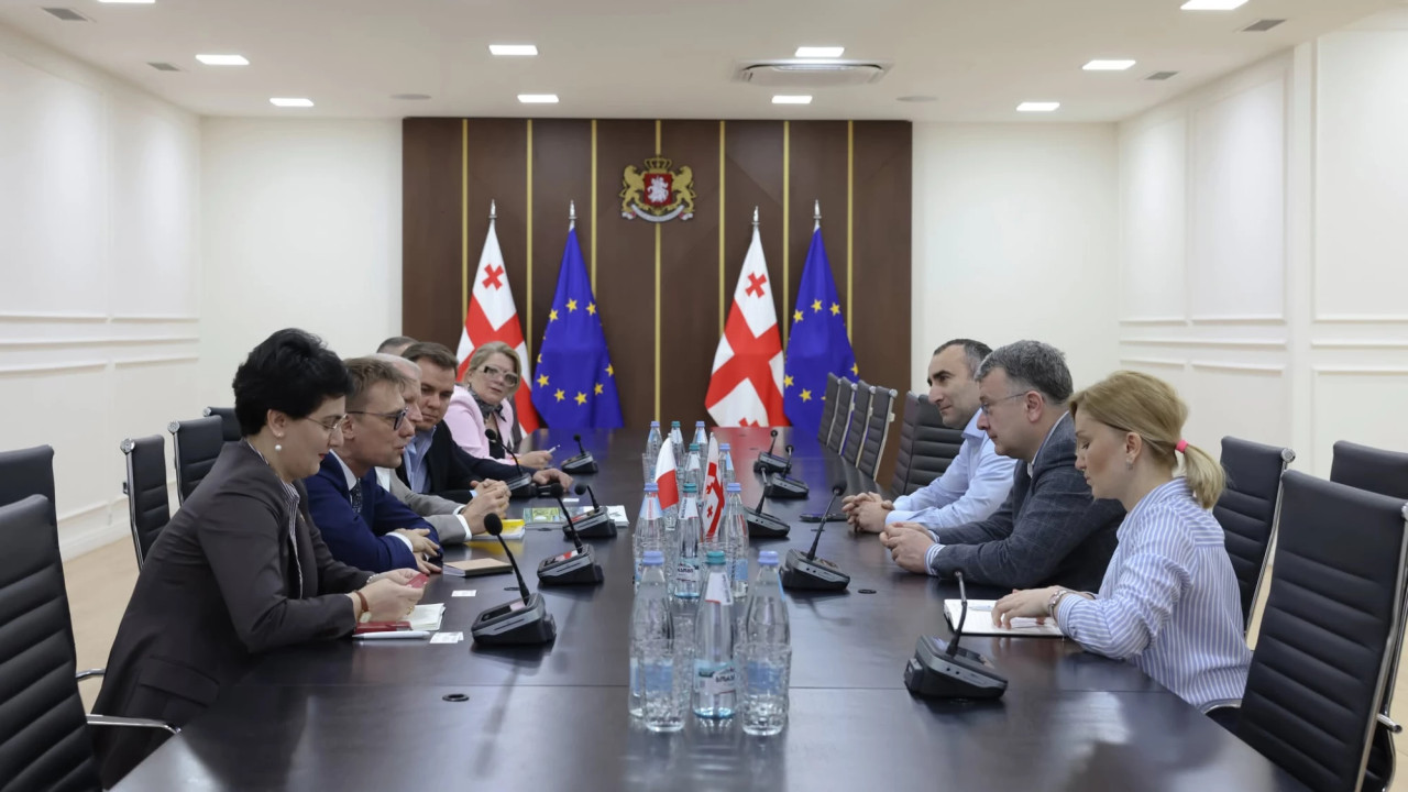 ლაშა დოლიძე საქართველოში პოლონეთის ელჩის მოვალეობის შემსრულებელს და ბიზნესსექტორის წარმომადგენლებს შეხვდა