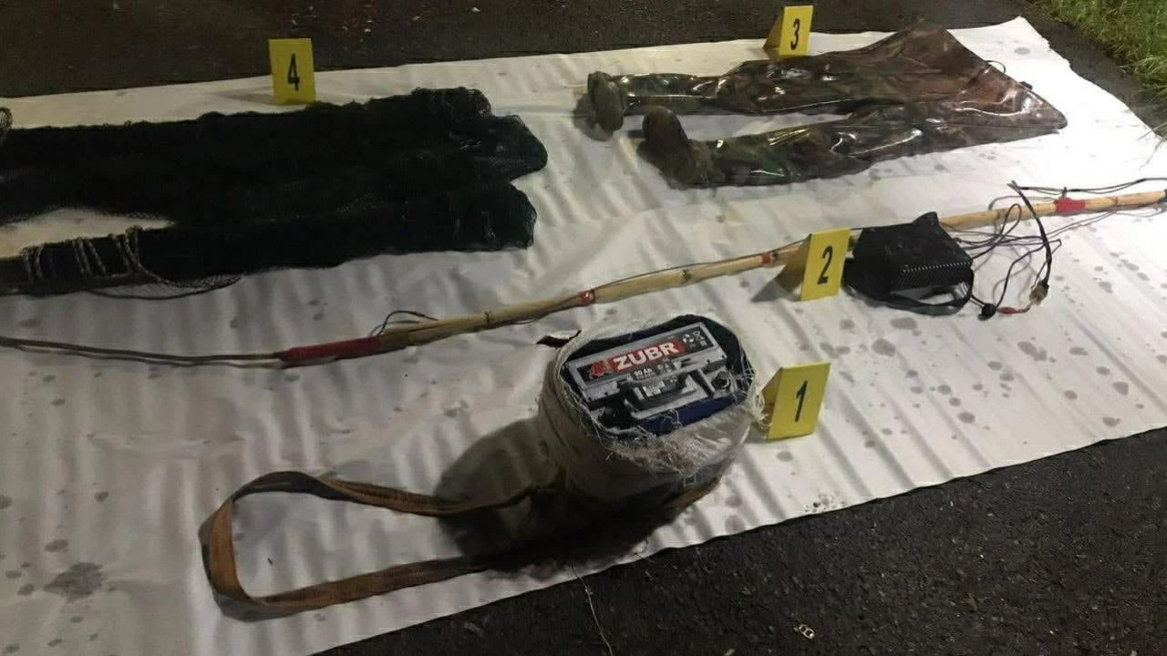 გარემოსდაცვითი ზედამხედველობის დეპარტამენტმა ქვემო ქართლში ბრაკონიერობის ფაქტი გამოავლინა