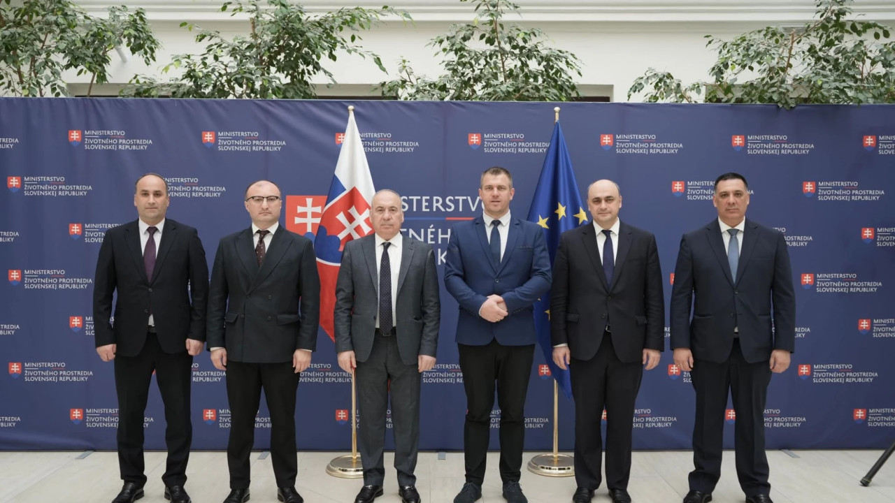 სოლომონ პავლიაშვილმა სლოვაკეთის რესპუბლიკის გარემოს დაცვის მინისტრის მოადგილესთან შეხვედრა გამართა