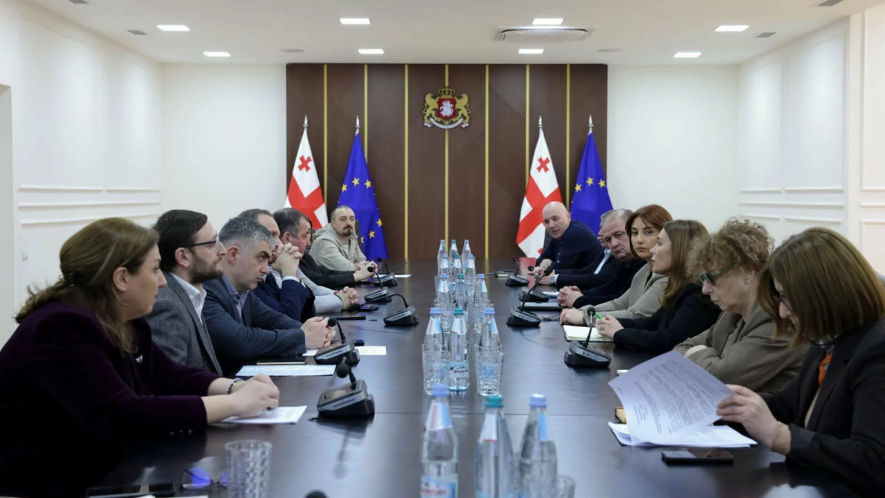 ნინო თანდილაშვილმა ბიზნესსექტორის წარმომადგენლებთან ერთად მყარი სასარგებლო წიაღისეულის გადამუშავების რეგულირების სამუშაო ვერსია განიხილა