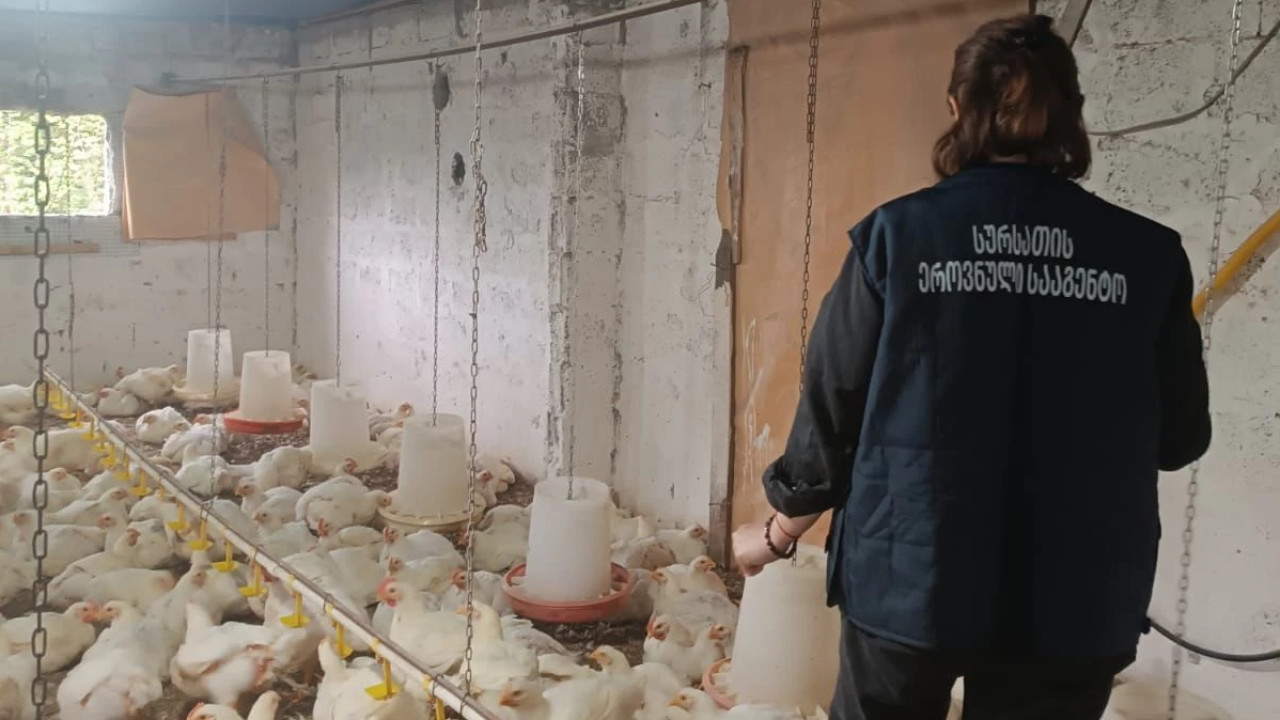 სურსათის ეროვნულმა სააგენტომ ქობულეთში ფრინველთა არალეგალური სასაკლაო გამოავლინა