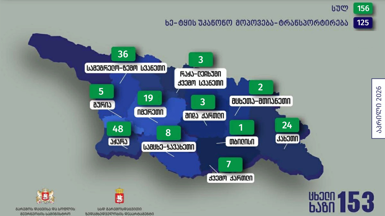 გარემოსდაცვითი ზედამხედველობის დეპარტამენტმა აპრილში უკანონო ტყითსარგებლობის 156 ფაქტი გამოავლინა