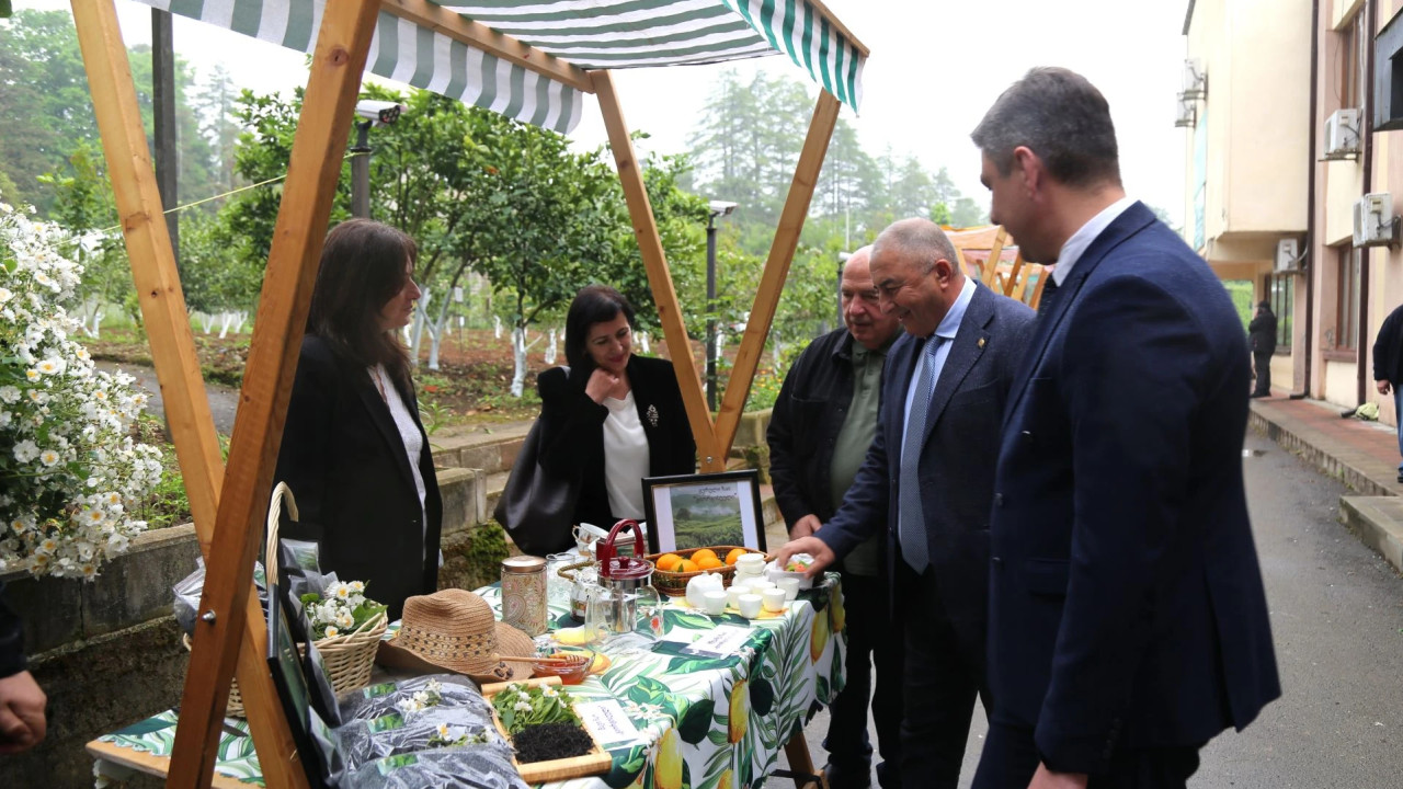 ჩაის საერთაშორისო დღესთან დაკავშირებით, სსიპ სოფლის მეურნეობის სამეცნიერო-კვლევითი ცენტრის ორგანიზებით, ანასეულის ბაზაზე თემატური ღონისძიება გაიმართა