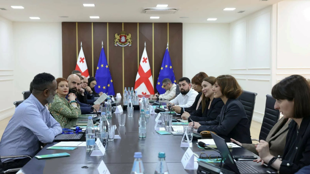 საქართველოში კლიმატის ცვლილებასთან ადაპტაციის პირველი ეროვნული გეგმის შემუშავების პროცესი იწყება