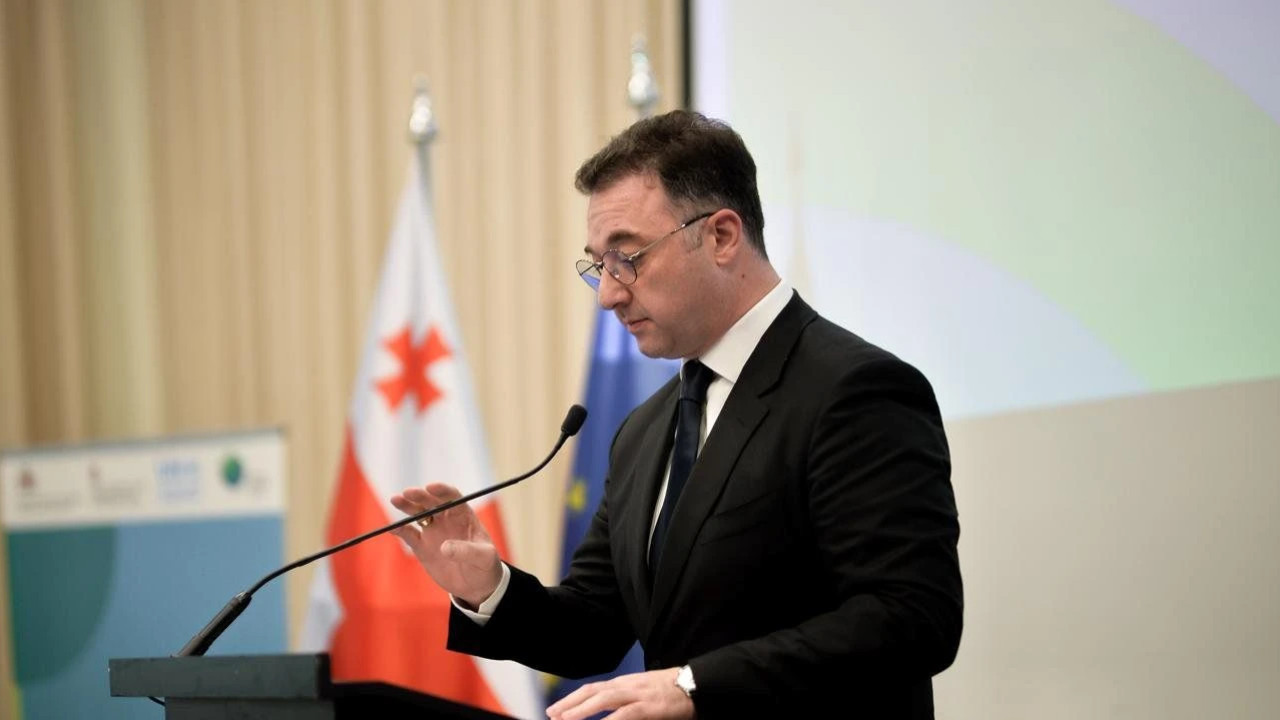 გარემოს დაცვის მსოფლიო დღის ფარგლებში საქართველოში კლიმატის ცვლილებასთან ადაპტაციის ეროვნული გეგმის (NAP) შემუშავების პროცესი ოფიციალურად გაიხსნა