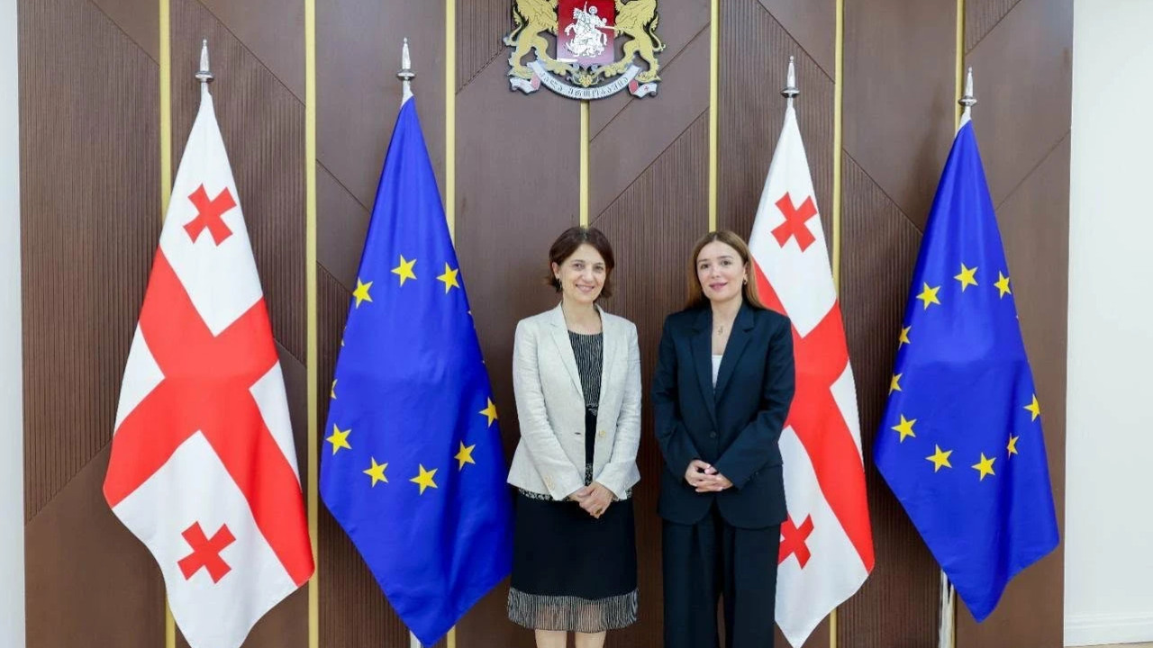 ნინო თანდილაშვილი UNICEF-ის წარმომადგენელს საქართველოში, იზაბელა კასტროჯოვანის შეხვდა