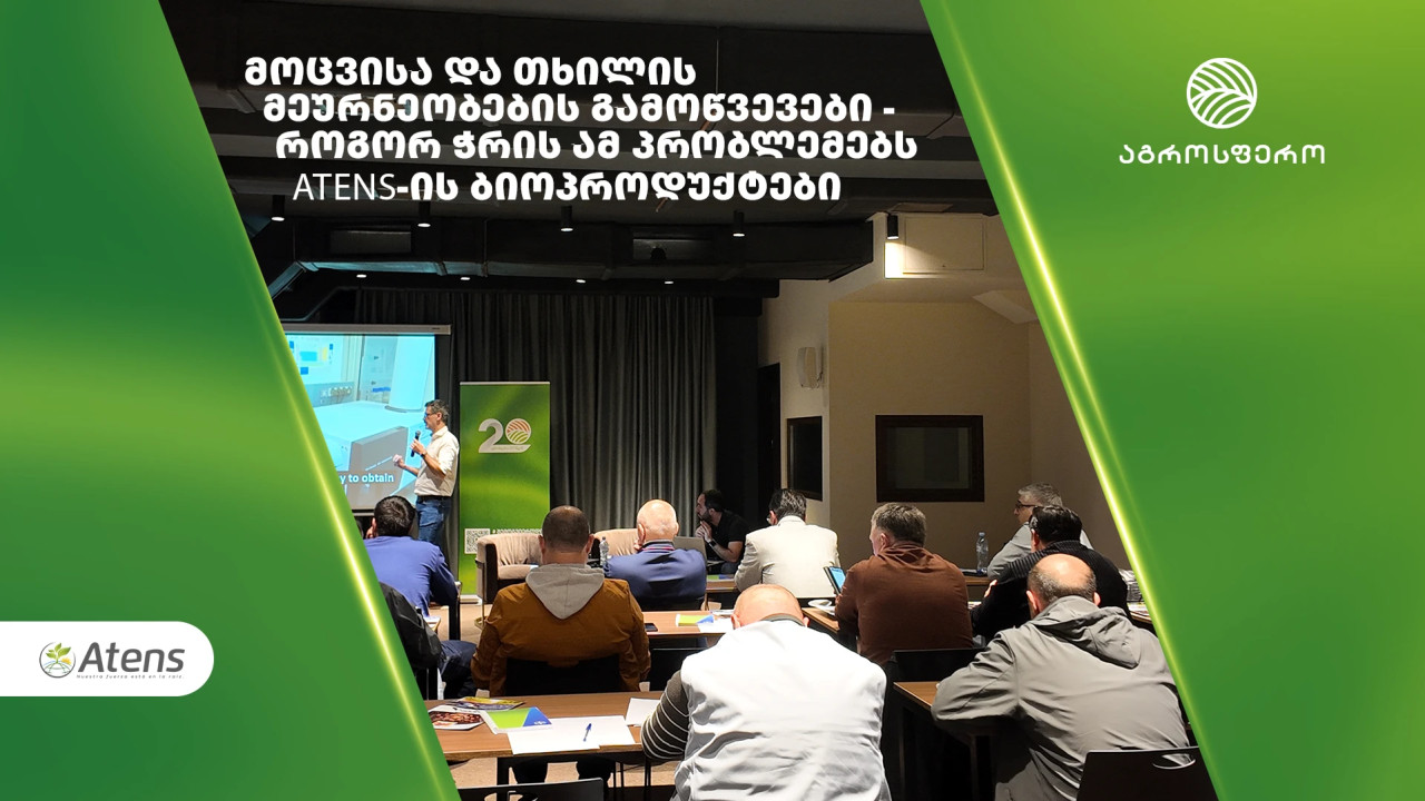 მოცვისა და თხილის მეურნეობების გამოწვევები – როგორ ჭრის ამ პრობლემებს Atens-ის ბიოპროდუქტები