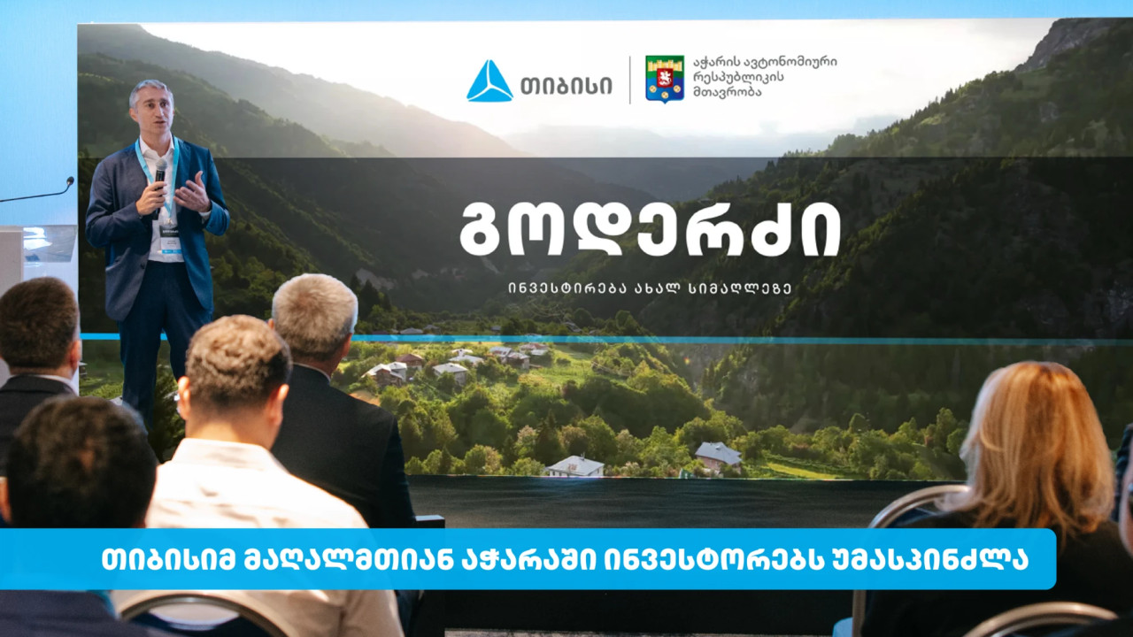 თიბისიმ კურორტ გოდერძიზე საინვესტიციო ღონისძიება გამართა