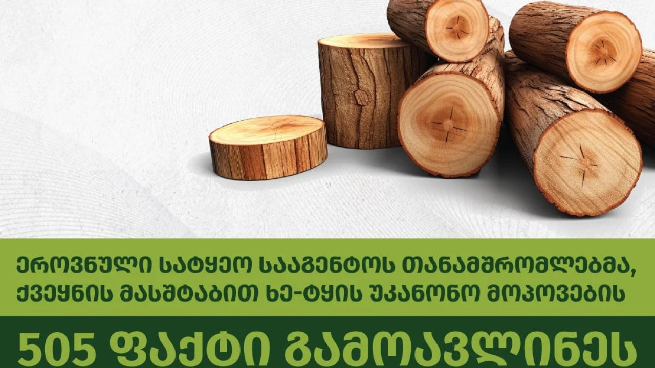 ეროვნული სატყეო სააგენტოს თანამშრომლებმა ცხრა თვის განმავლობაში ხე-ტყის უკანონო მოპოვების 505 ფაქტი გამოავლინეს