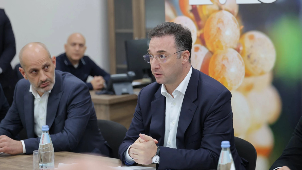 დავით სონღულაშვილი: კახეთში ყურძნის გადამუშავებამ 206 ათას ტონას გადააჭარბა