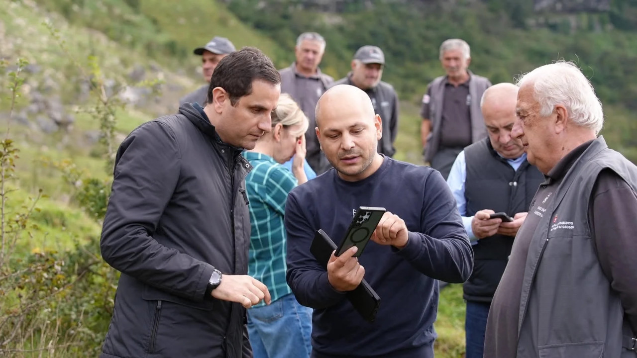 ტყიბულის სატყეო უბანზე დეგრადირებული ტყის აღდგენის პროექტი განხორციელდება