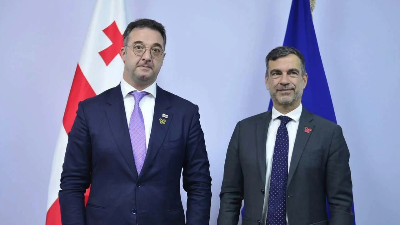 დავით სონღულაშვილი ერევანში, ევროპის საბჭოსა და ბერნის კონვენციის წარმომადგენლებს შეხვდა